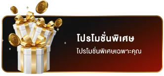 โปรโมชั่นพิเศษ